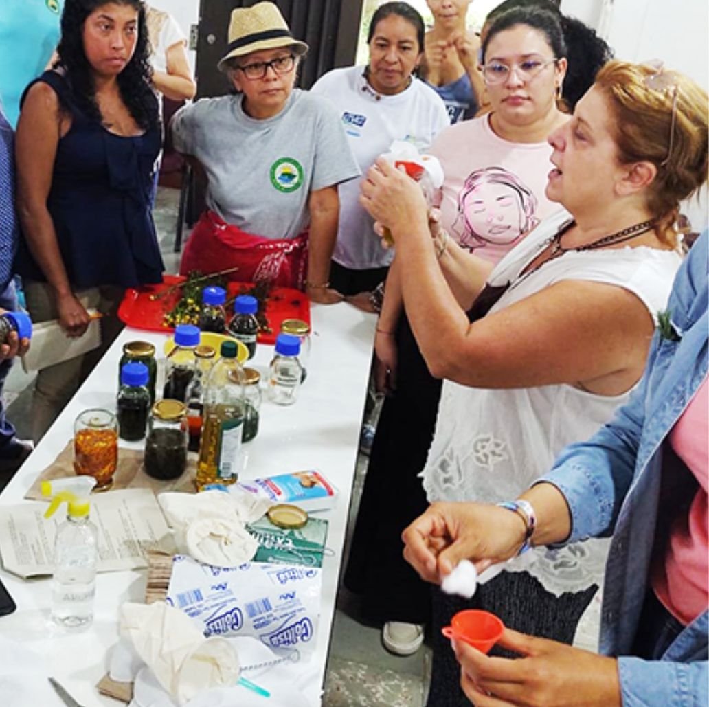 Cosmética natural: saberes, plantas y comunidad