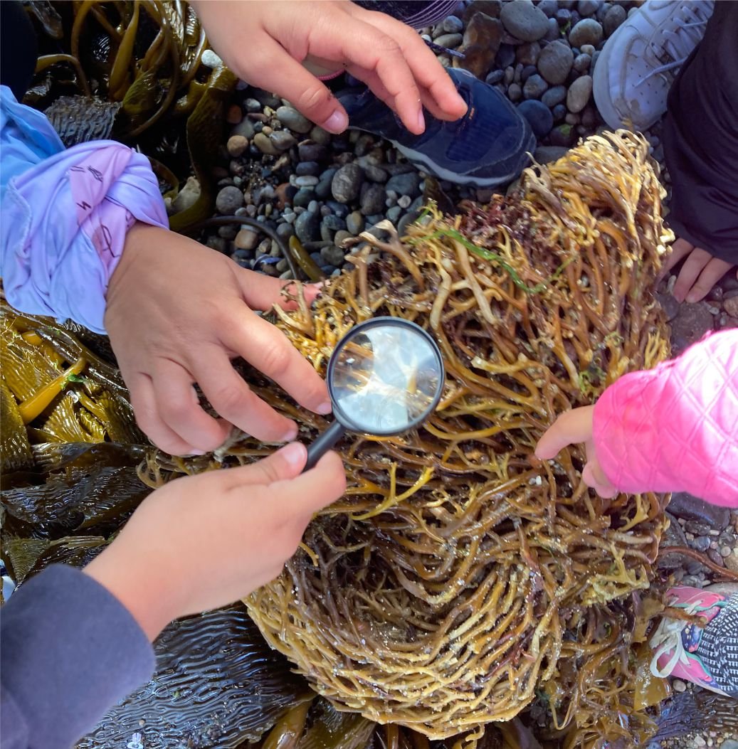 Educar para conservar: una experiencia patagónica