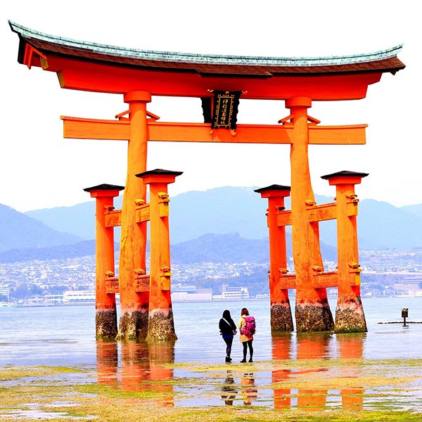 Conceptos japoneses para emprender con sustentabilidad.