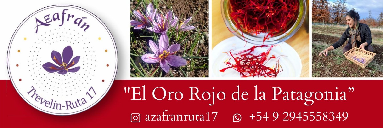 Banner web_ Azafrán